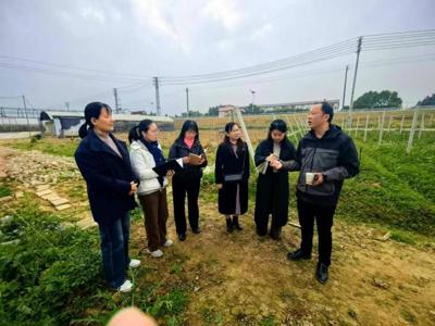 ​校企共探特色路 会计赋能产业兴 ——我校会计事务专业赴壮乡皇广地龙产业基地开展调研