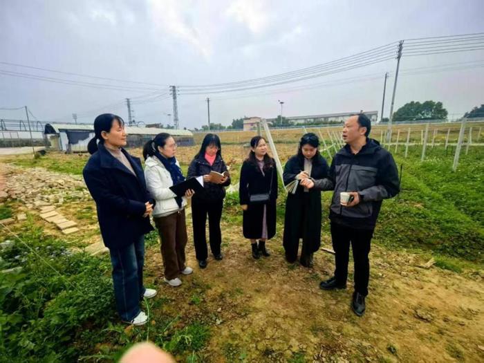 ​校企共探特色路 会计赋能产业兴 ——我校会计事务专业赴壮乡皇广地龙产业基地开展调研